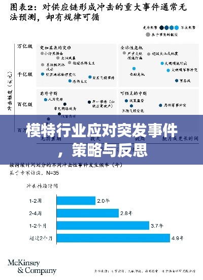 模特行业应对突发事件，策略与反思