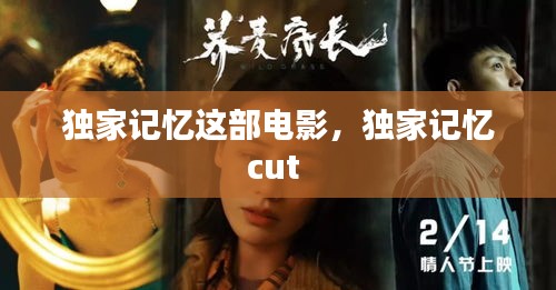 独家记忆这部电影，独家记忆cut 