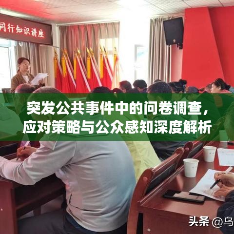 突发公共事件中的问卷调查，应对策略与公众感知深度解析