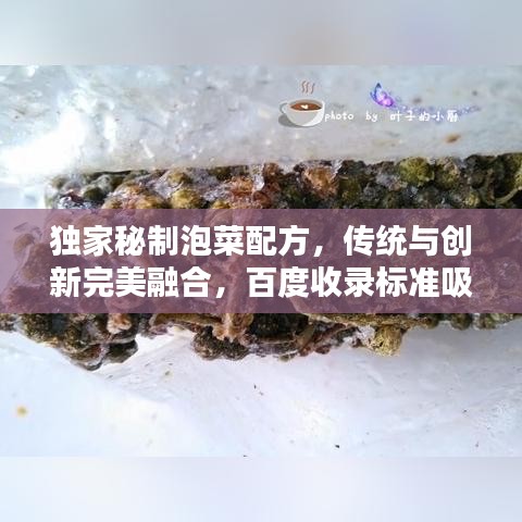 独家秘制泡菜配方，传统与创新完美融合，百度收录标准吸睛标题！