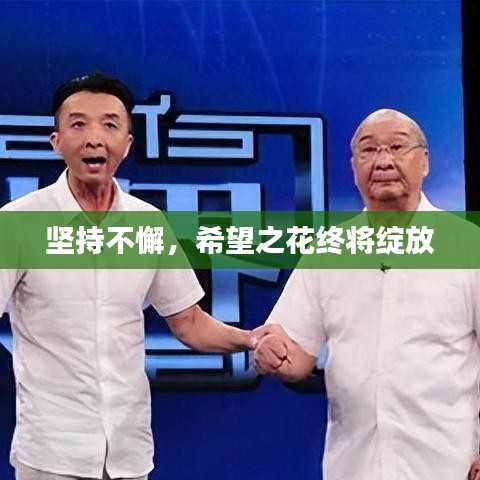 坚持不懈，希望之花终将绽放