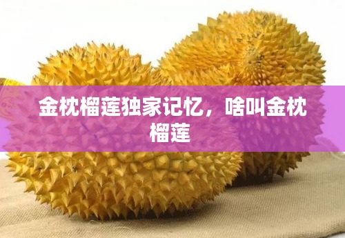 金枕榴莲独家记忆，啥叫金枕榴莲 