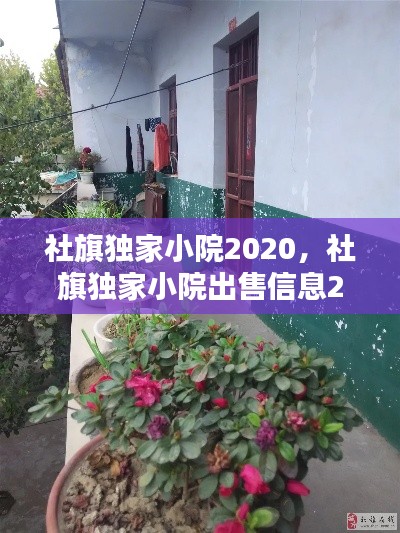 社旗独家小院2020，社旗独家小院出售信息2020年的 