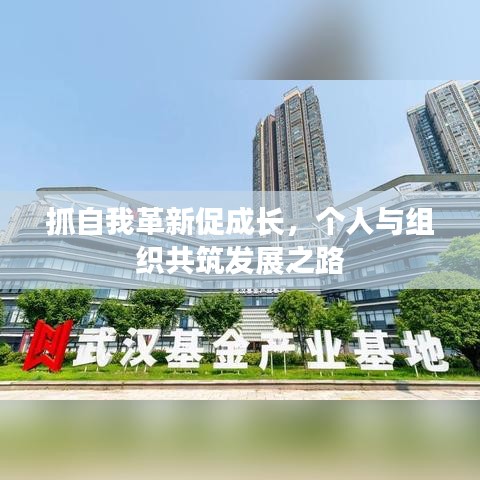 抓自我革新促成长，个人与组织共筑发展之路