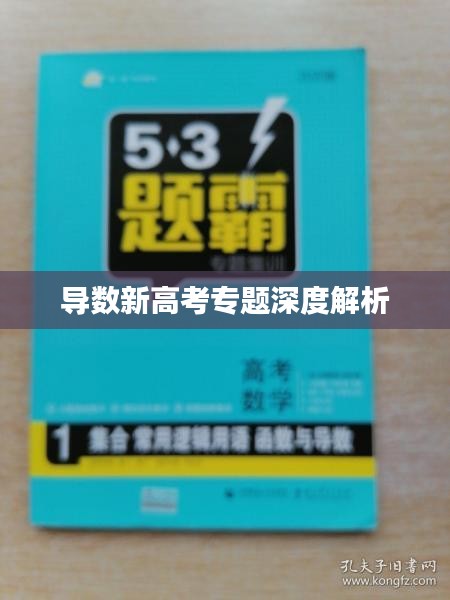 导数新高考专题深度解析