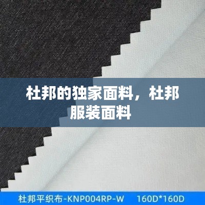 杜邦的独家面料，杜邦服装面料 