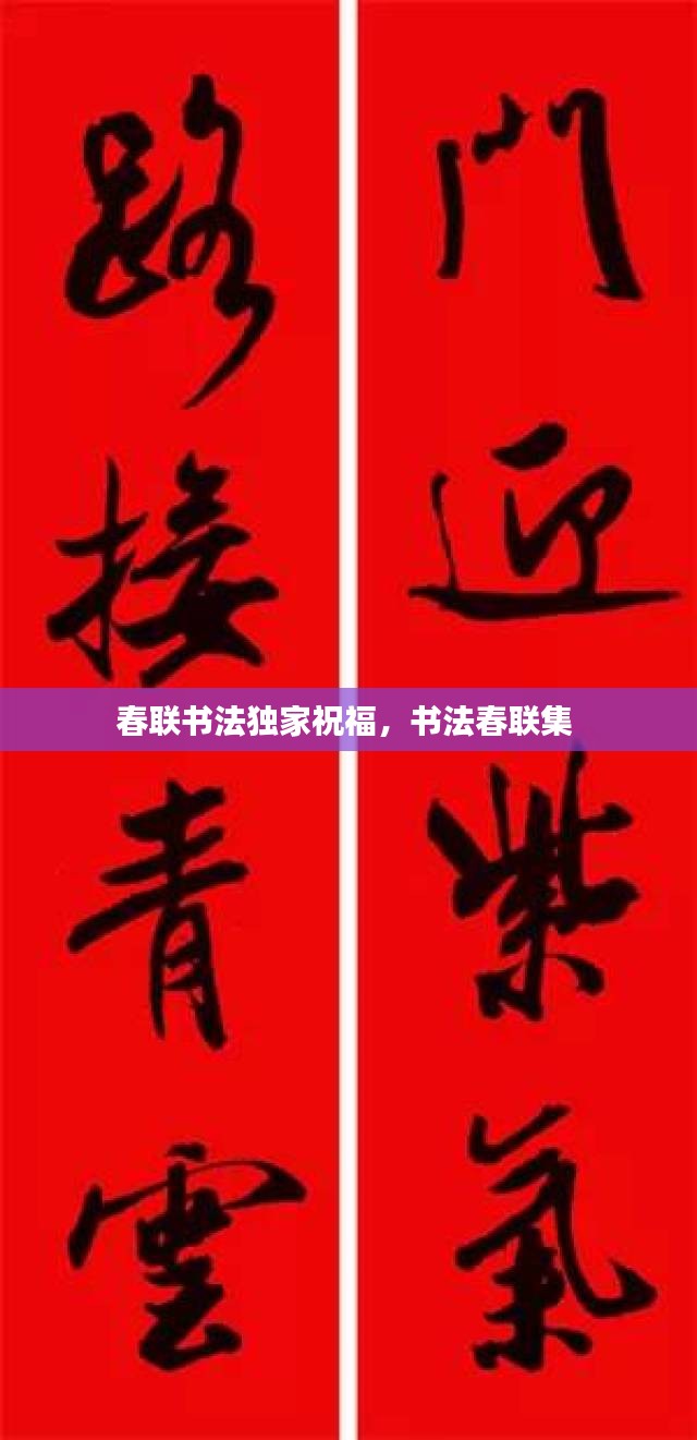 春联书法独家祝福，书法春联集 