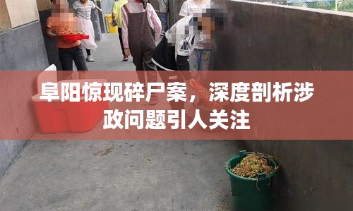 阜阳惊现碎尸案，深度剖析涉政问题引人关注