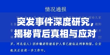 突发事件深度研究，揭秘背后真相与应对策略