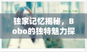 独家记忆揭秘，Bobo的独特魅力探索