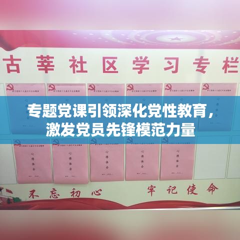 专题党课引领深化党性教育，激发党员先锋模范力量