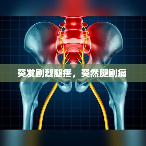 突发剧烈腿疼，突然腿剧痛 