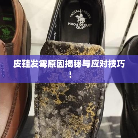 皮鞋发霉原因揭秘与应对技巧！