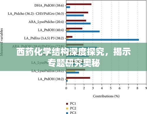 西药化学结构深度探究，揭示专题研究奥秘