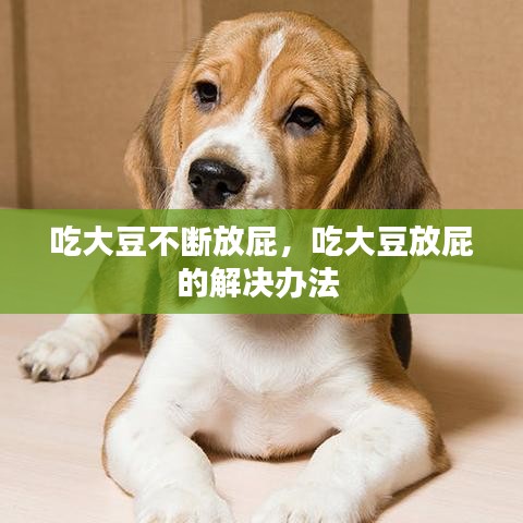 吃大豆不断放屁，吃大豆放屁的解决办法 