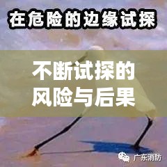 不断试探的风险与后果