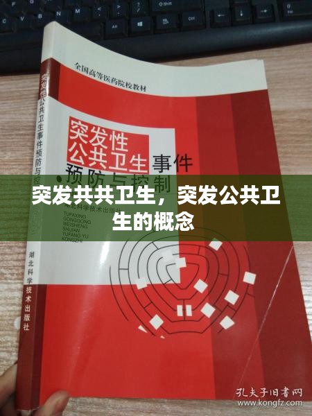 突发共共卫生，突发公共卫生的概念 