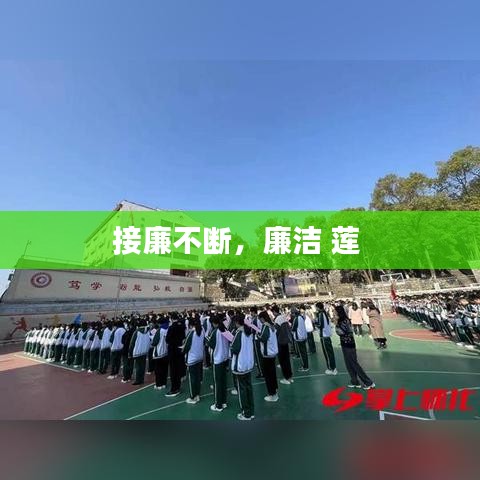 接廉不断，廉洁 莲 