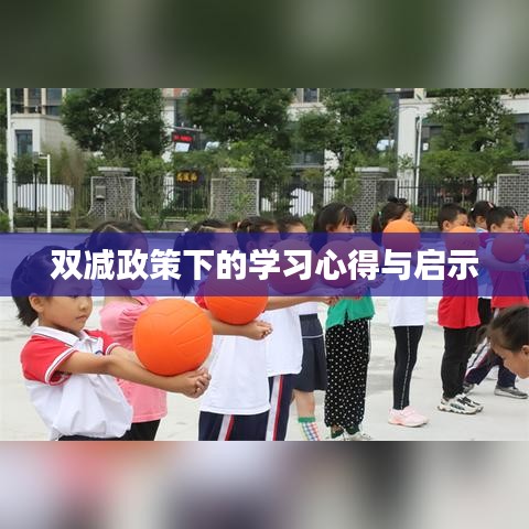 双减政策下的学习心得与启示