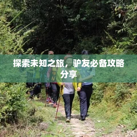 探索未知之旅，驴友必备攻略分享