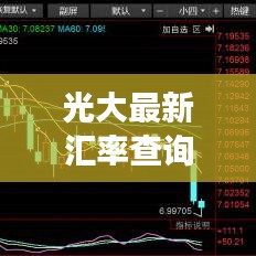 光大最新汇率查询，洞悉货币价值动态变化！