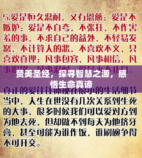 赞美圣经，探寻智慧之源，感悟生命真谛