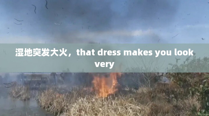 湿地突发大火，that dress makes you look very 