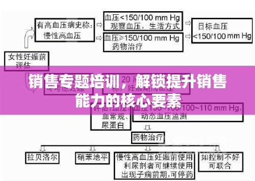 销售专题培训，解锁提升销售能力的核心要素