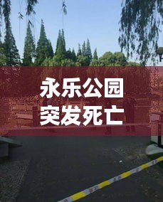 永乐公园突发死亡事件，永乐公园有好玩的吗 