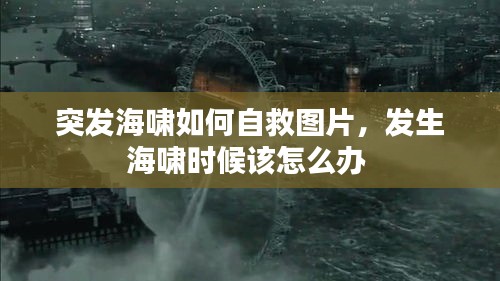 突发海啸如何自救图片，发生海啸时候该怎么办 