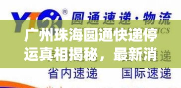 广州珠海圆通快递停运真相揭秘，最新消息解读