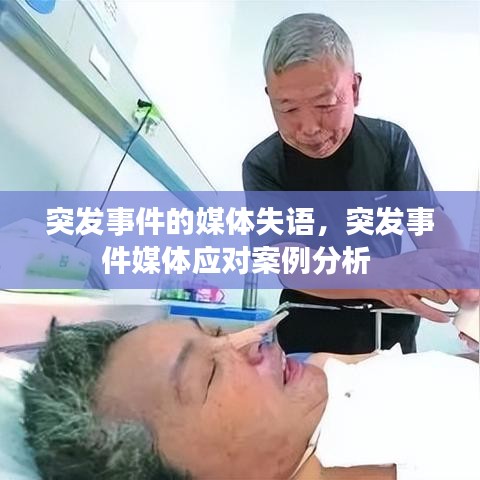 突发事件的媒体失语，突发事件媒体应对案例分析 