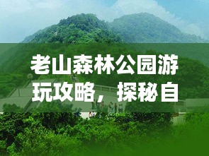 老山森林公园游玩攻略，探秘自然美景，尽享森林盛宴！