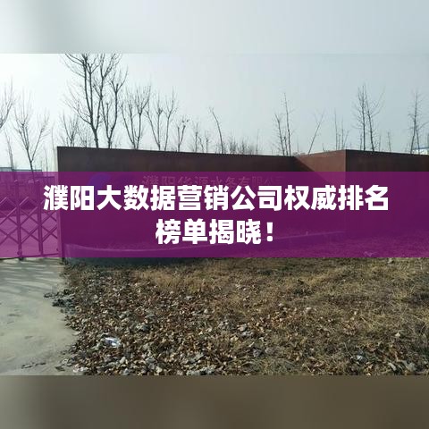 濮阳大数据营销公司权威排名榜单揭晓！