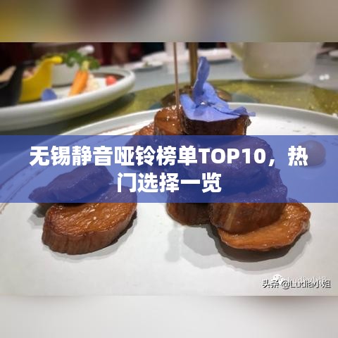 无锡静音哑铃榜单TOP10，热门选择一览