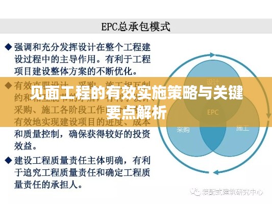 见面工程的有效实施策略与关键要点解析