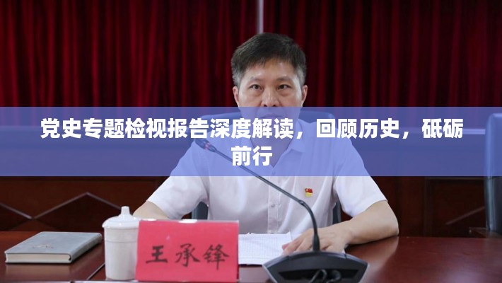 党史专题检视报告深度解读，回顾历史，砥砺前行