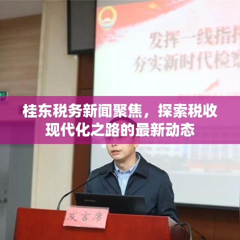 桂东税务新闻聚焦，探索税收现代化之路的最新动态