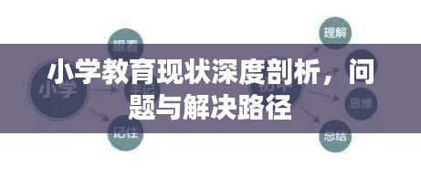 小学教育现状深度剖析，问题与解决路径