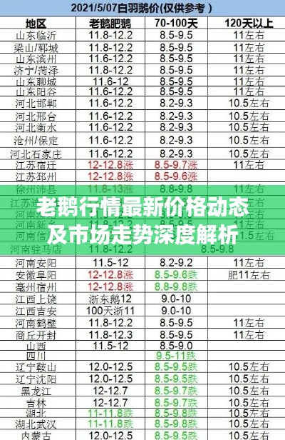 老鹅行情最新价格动态及市场走势深度解析