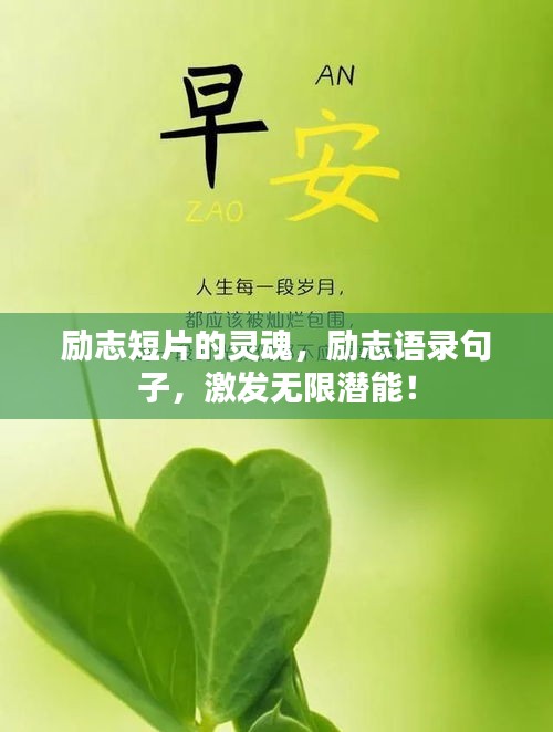 励志短片的灵魂，励志语录句子，激发无限潜能！