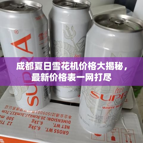 成都夏日雪花机价格大揭秘，最新价格表一网打尽