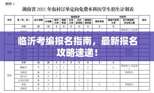 临沂考编报名指南，最新报名攻略速递！