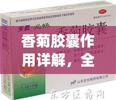 香菊胶囊作用详解，全面解析其功效与应用