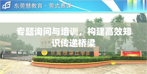 专题询问与培训，构建高效知识传递桥梁