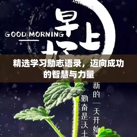 精选学习励志语录，迈向成功的智慧与力量