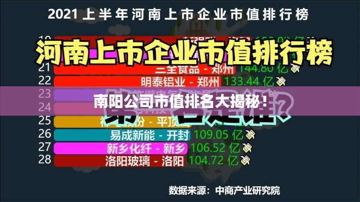 南阳公司市值排名大揭秘！