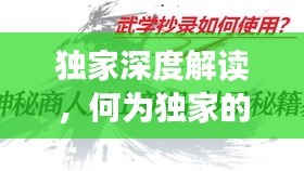 独家深度解读，何为独家的真正含义？