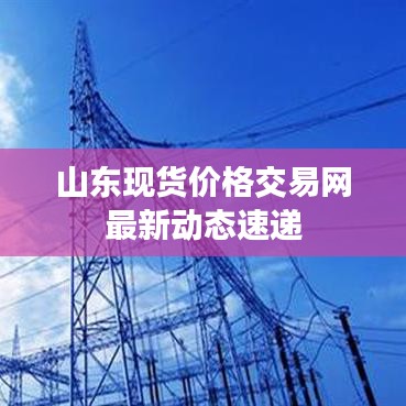 山东现货价格交易网最新动态速递