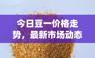 今日豆一价格走势，最新市场动态与未来趋势分析